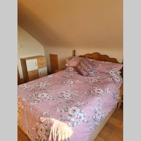 Limerick Junction Breathneach House 빌라 외부 사진
