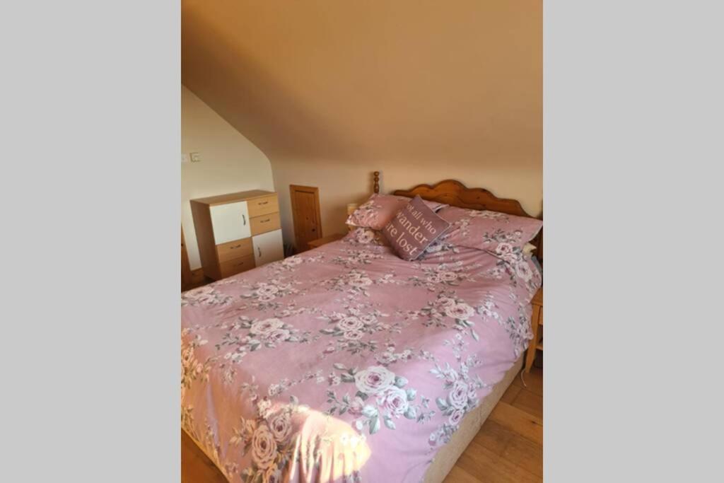 Limerick Junction Breathneach House 빌라 외부 사진